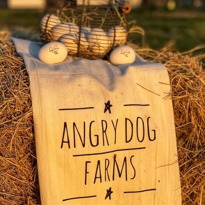 Farm Fresh Egg